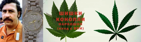 PSILOCYBIN Михайлов
