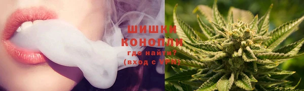 PSILOCYBIN Михайлов