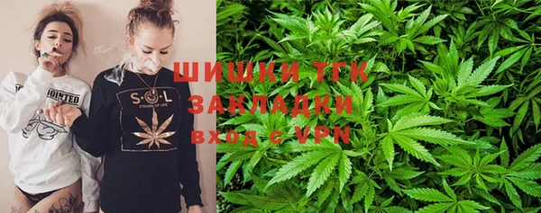 PSILOCYBIN Михайлов