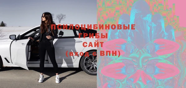 амф Михайловск