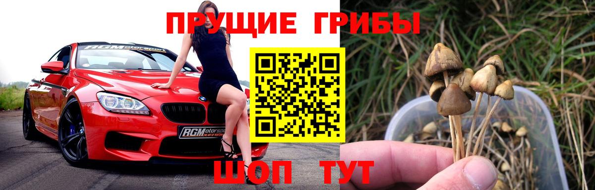 Галлюциногенные грибы GOLDEN TEACHER Дзержинск