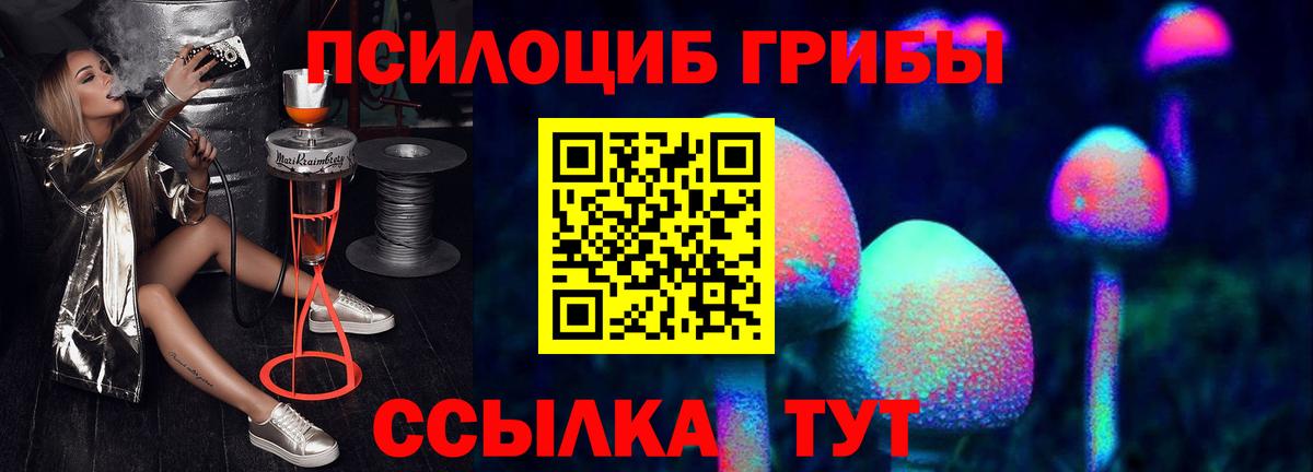 Галлюциногенные грибы Psilocybe Дзержинск