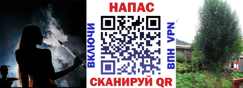 Бошки марихуана Amnesia  Дзержинск 